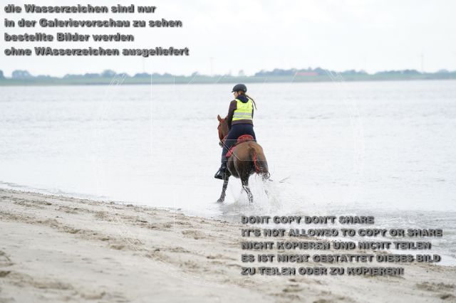 s_K3F04812.JPG